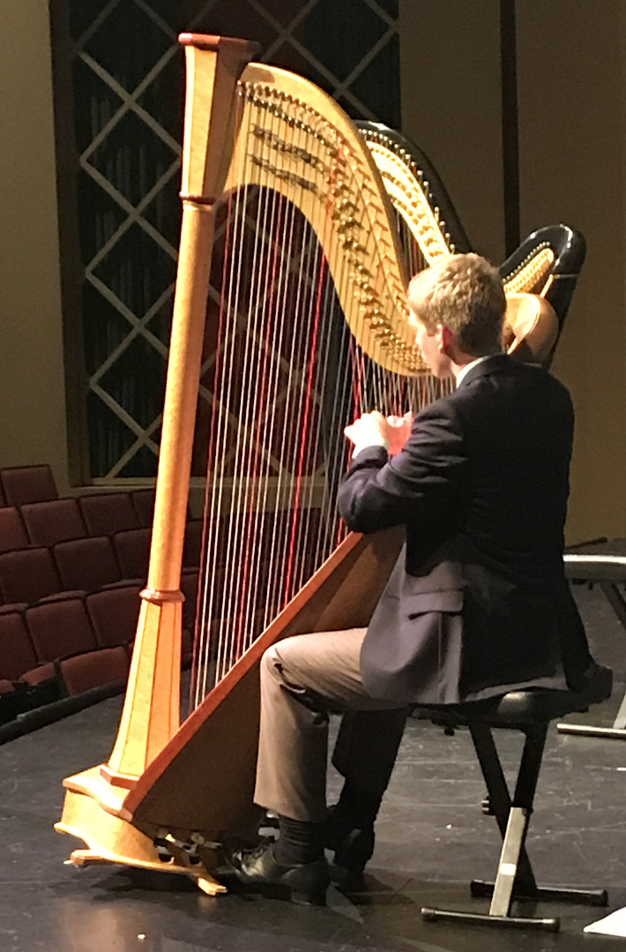 Uncategorized Picture Of A Harp young artists harp competition seminar we are pleased to announce that the next will take place july 2018 at our new locat